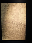 DSCF0666