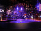 DSCF0668