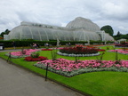 DSCF0676