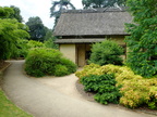 DSCF0686