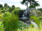 DSCF0701
