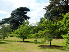 DSCF0708
