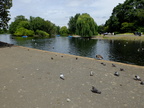 DSCF0751