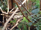 DSCF0755