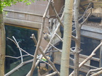 DSCF0756