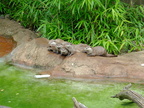 DSCF0760