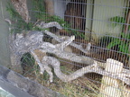 DSCF0762