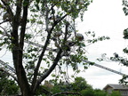 DSCF0767