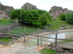DSCF0771