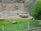 DSCF0772