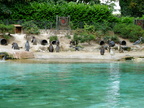 DSCF0775